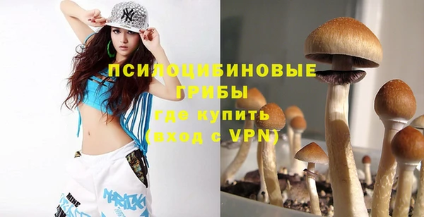 шишки Магас