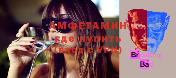 шишки Магас