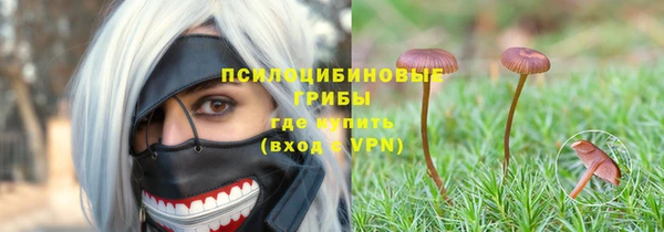 шишки Магас