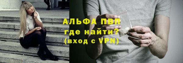 шишки Магас
