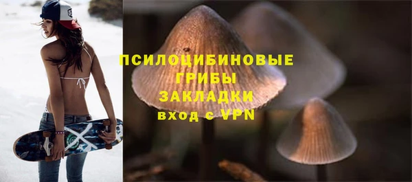 шишки Магас