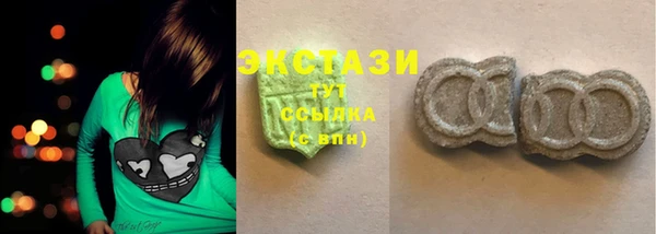шишки Магас