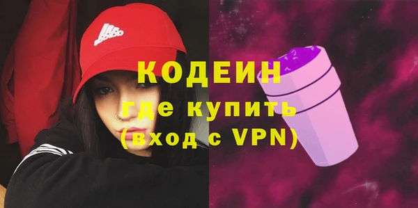 шишки Магас