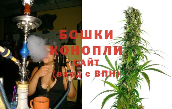 шишки Магас