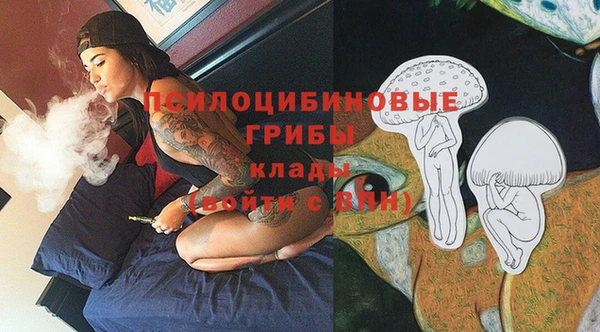 шишки Магас